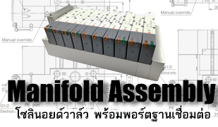 Maniflod​ Assembly_โซลินอยด์วาล์ว พร้อมฐาน