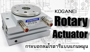 ROTARY ACTUATOR