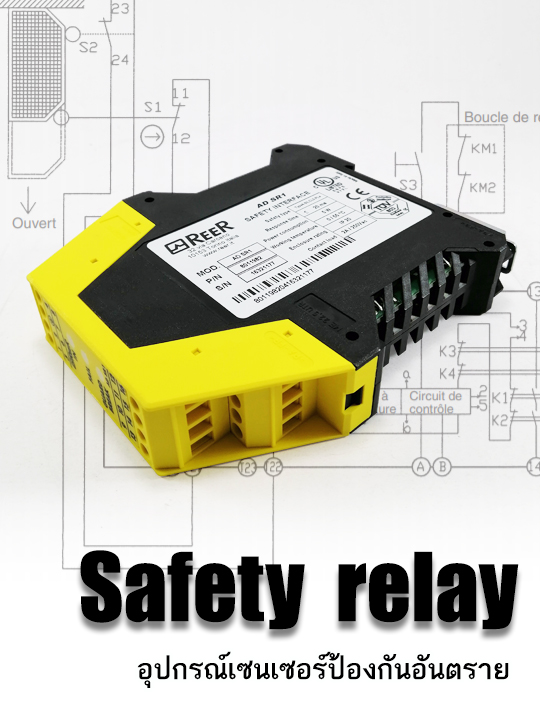 Safety Relay-เซฟตี้รีเลย์