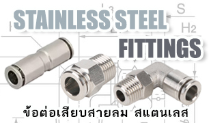 Stainless Steel Fittings