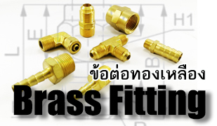 Brass Fitting-ข้อต่อทองเหลือง